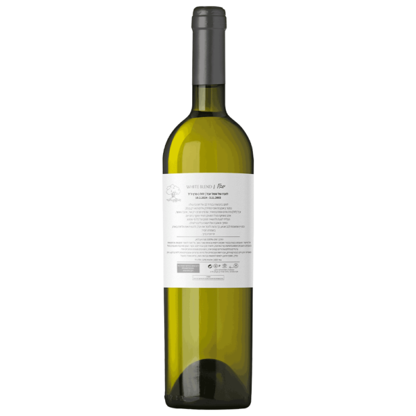 יין לבן סוביניון בלאן לזכרו של יובל פרץ תווית אחורית