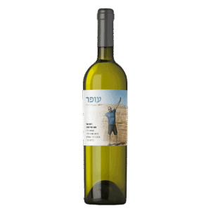 יין-לבן-לזכר--עופר-מדלינסקי